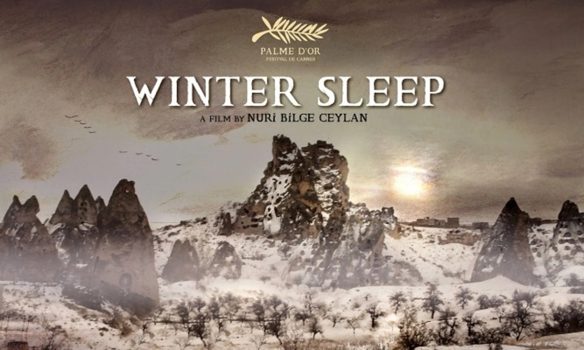 Winter Sleep