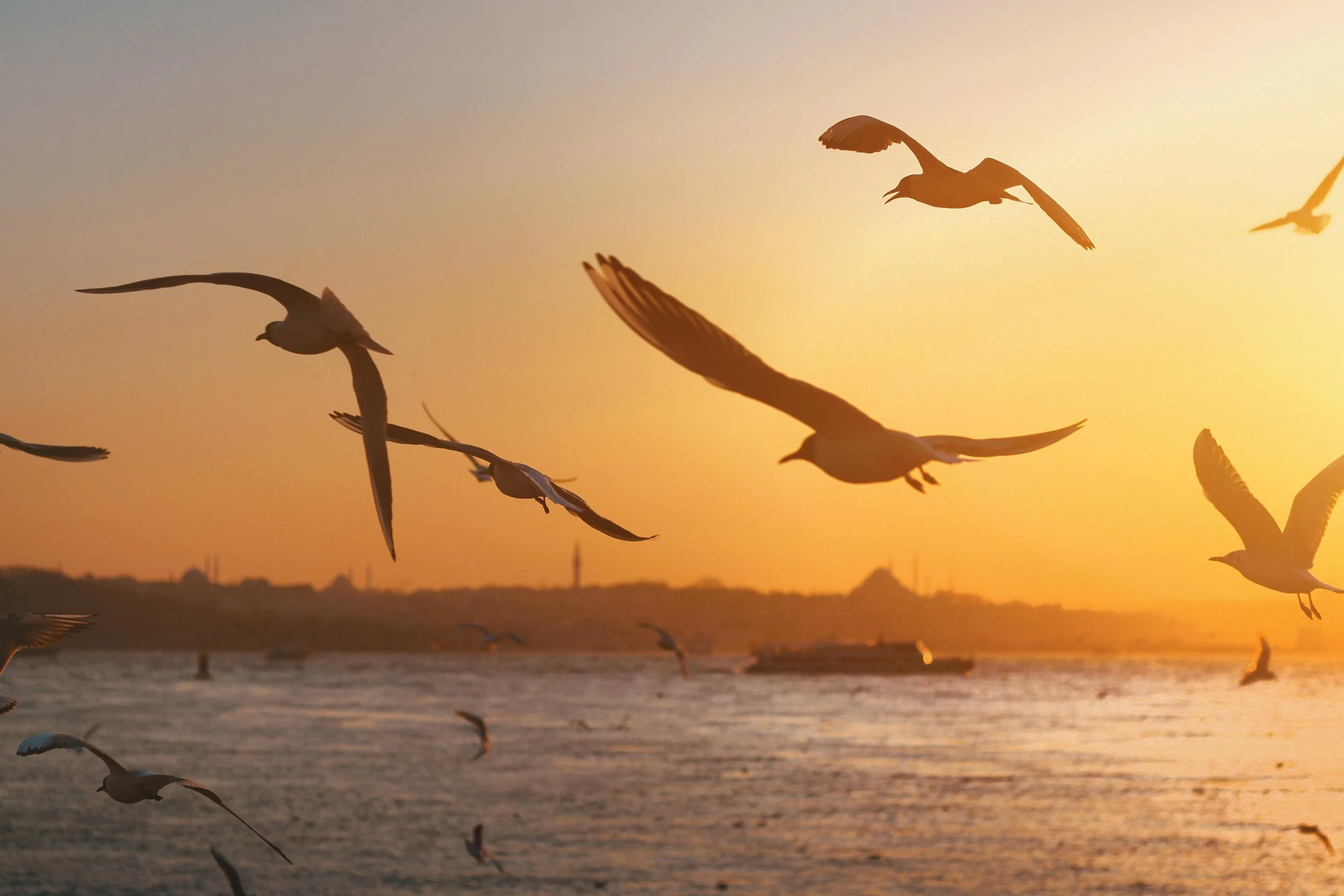 Grand Türkiye Explorer: Istanbul, Aegean Wonders, and Cappadocia Skies