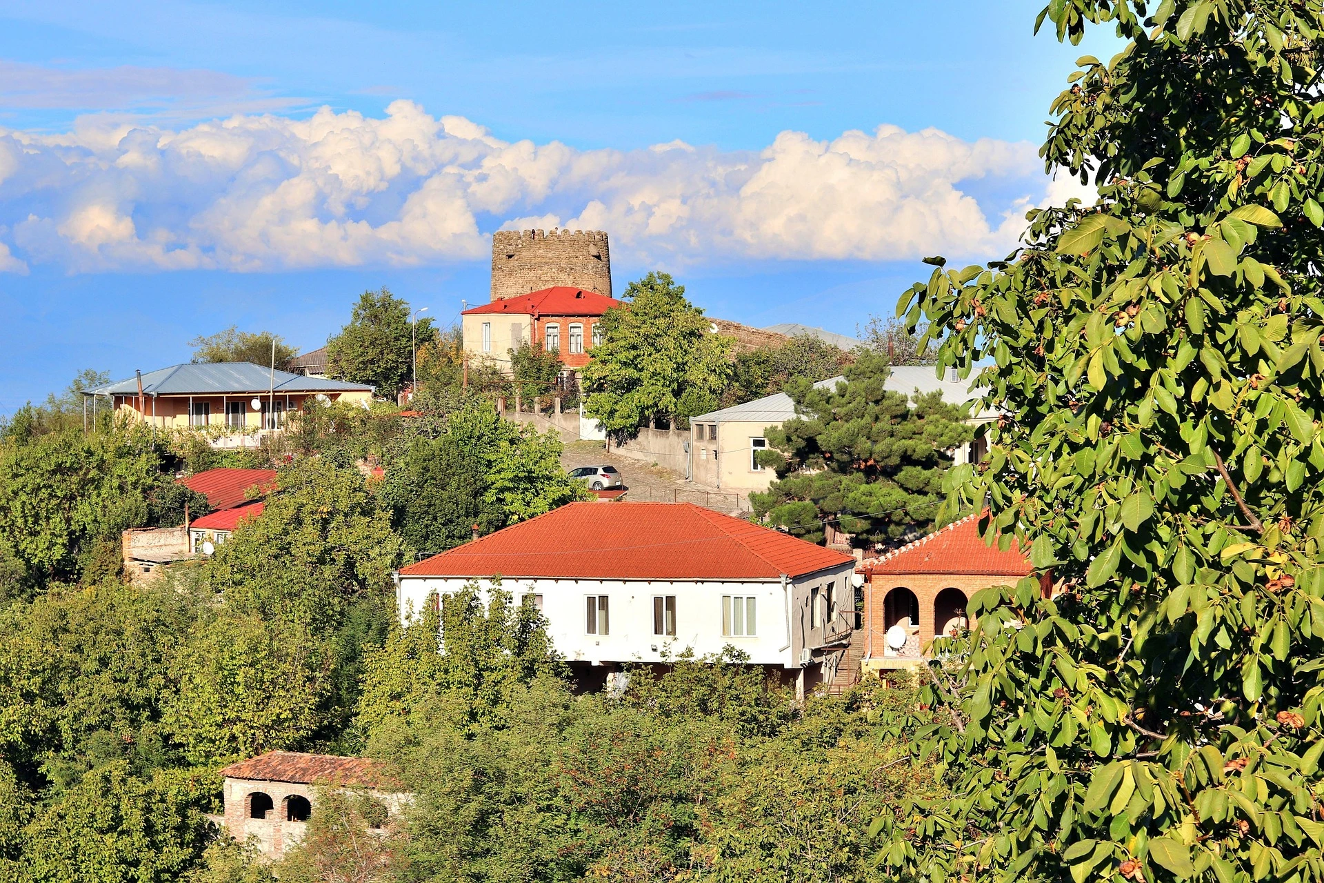 Kakheti Wine Region Tour with Tastings and Local Experiences