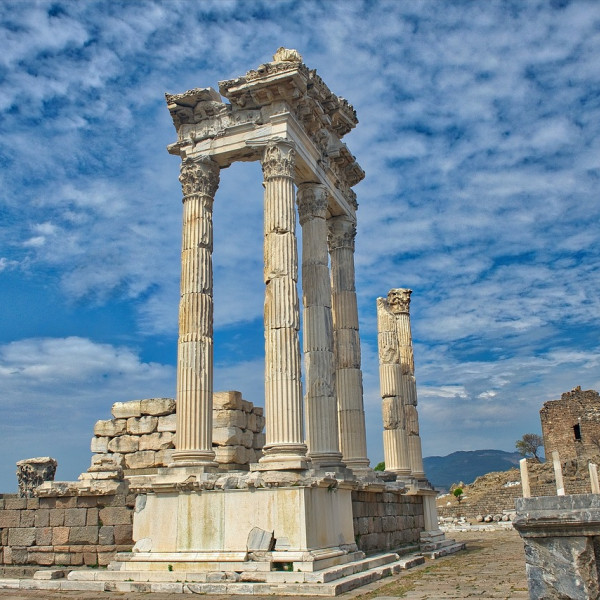 Charming Turkey